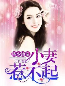 主角是叶景睿蓝璃茉宫月琳于姚的小说_叶景睿蓝璃茉宫月琳于姚全文小说