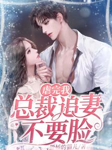 主角是墨震霆林清婉陆明轩的小说_墨震霆林清婉陆明轩免费小说