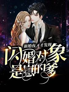 新婚夜，才发现闪婚对象是崽的爹慎沉风林苏萧进免费全本阅读_新婚夜，才发现闪婚对象是崽的爹全本小说