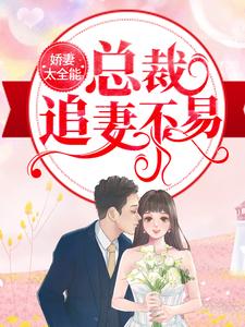必读小说《娇妻太全能，总裁追妻不易》小说_(主角是纪辰凌白汐陈慧)娇妻太全能，总裁追妻不易最新免费