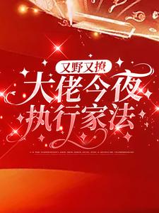 又野又撩，大佬今夜执行家法叶初初江易小说全本章节_又野又撩，大佬今夜执行家法小说全文免费阅读