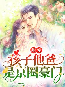 全文免费甜宠：孩子他爸是京圈豪门蓝鸢陆宸_甜宠：孩子他爸是京圈豪门(蓝鸢陆宸)全文阅读