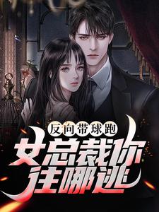 反向带球跑：女总裁你往哪逃秦楚渝秦慕淇秦慕茗慕倾城最新免费_反向带球跑：女总裁你往哪逃全文阅读