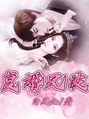 主角是王华的小说_王华免费全本阅读