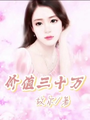 价值三十万父亲母亲李哥司机小说无弹窗_价值三十万全文阅读