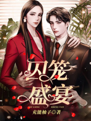 囚笼盛宴叶媚陆骁龙二最新全本小说_囚笼盛宴小说免费阅读