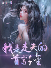 主角是傅容则林韵沈木木的小说_傅容则林韵沈木木小说全文免费阅读
