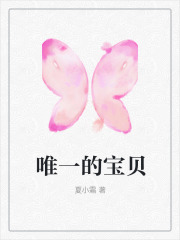 唯一的宝贝贺景川唐渺渺南烟小说免费阅读全文_唯一的宝贝免费全本阅读