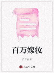 百万嫁妆陈斓杨琼万玄杨澜免费全本阅读_百万嫁妆小说阅读
