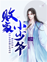 极品小爵爷王康王鼎昌林语嫣柳诚全文阅读_极品小爵爷小说无广告