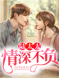 大结局陆太太，情深不负秦澜宁城沈城远秦向暖_陆太太，情深不负(秦澜宁城沈城远秦向暖)全本小说