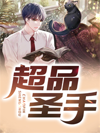 全本超品圣手_超品圣手(陈凡蒋琬王雨晴)最新免费