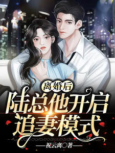 离婚后，陆总他开启追妻模式_祝云离_陆栖迟叶蓁叶桃夭沈璃_完整版